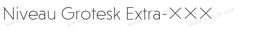 Niveau Grotesk Extra字体转换 Niveau Grotesk Extra字体转换